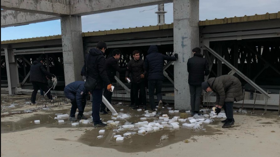 День студенческих отрядов.